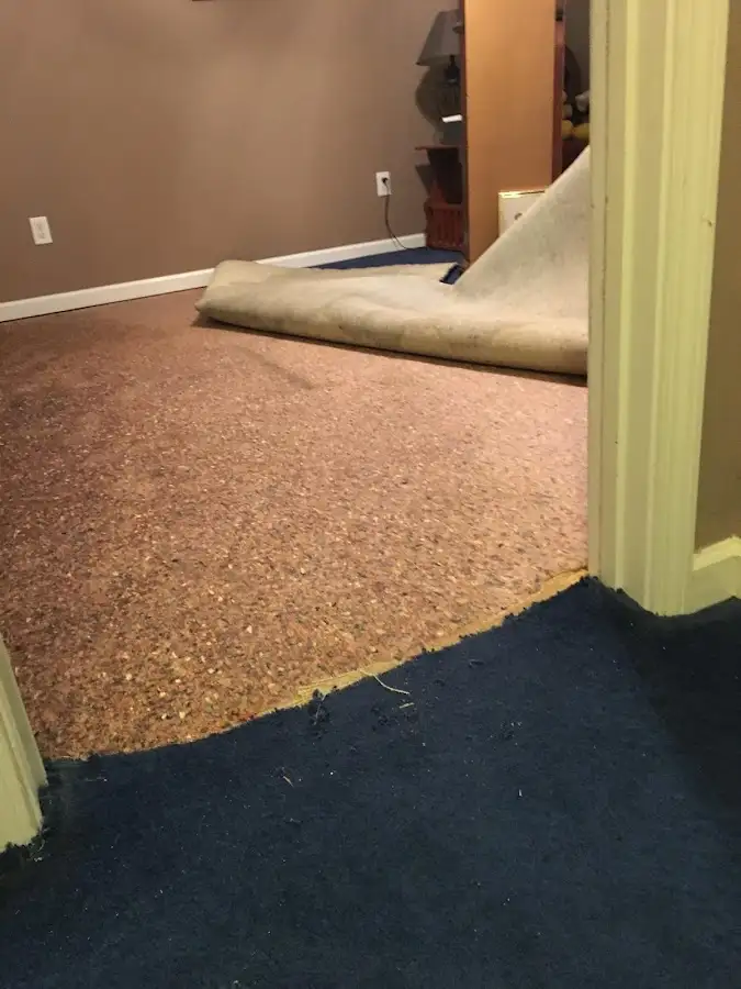 Carpet pad removal revealing water damage during Water Mitigation Services in Totowa